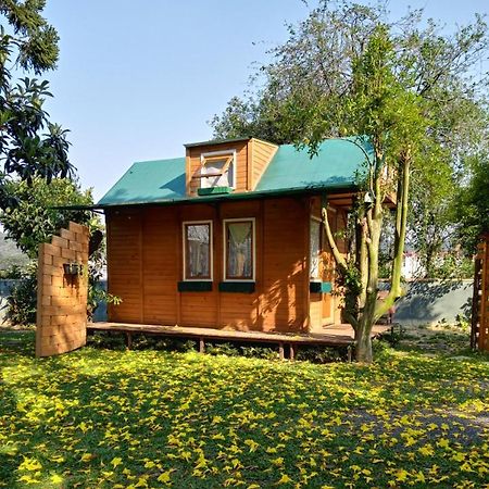 Mini House Park Hotel Campo Alegre  Eksteriør billede