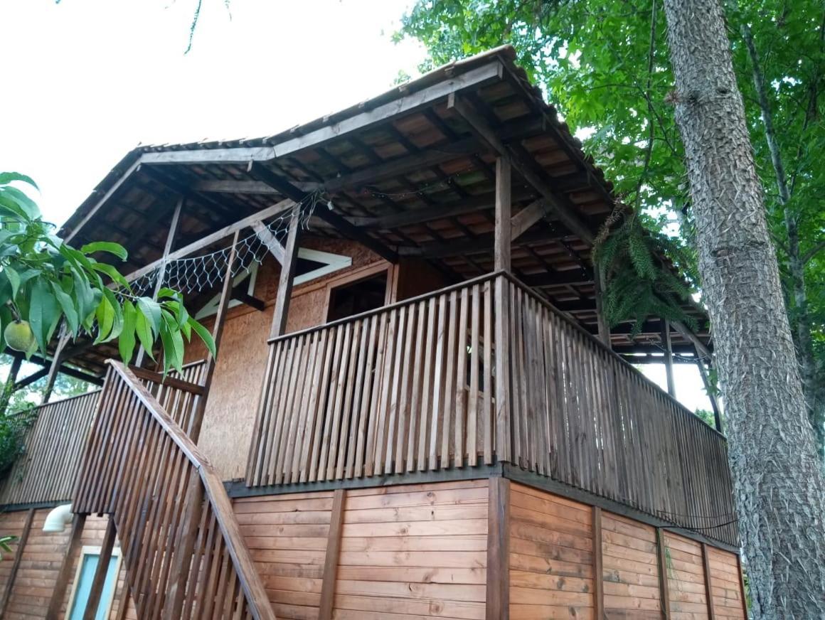 Mini House Park Hotel Campo Alegre  Eksteriør billede